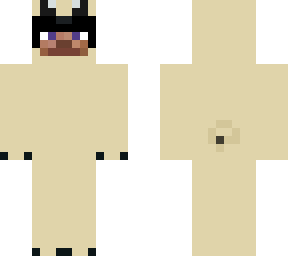 steve with pug costume