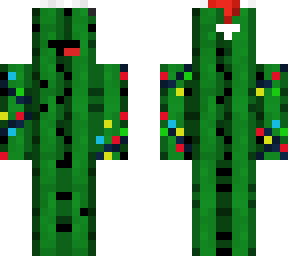christmas cactus