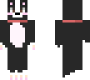 boston terrier