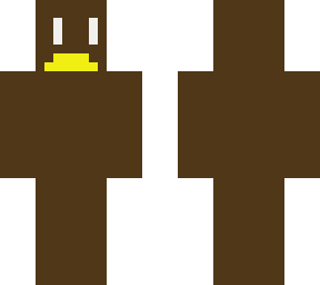 kiwi bird