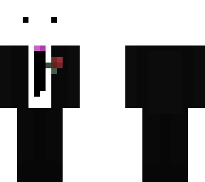 cat in suit