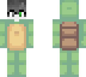 turtle nerd
