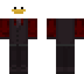 duck i a vest