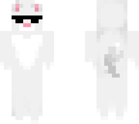 gato avril