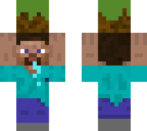 mini steve