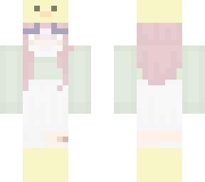 aesthetic duck mc skin