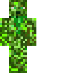camouflage guy!