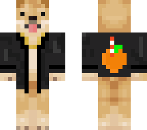 corgi with orange juice jacket