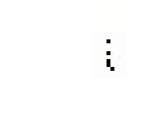 rhe