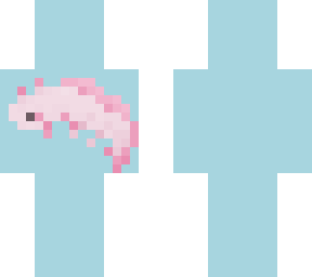 ❀ fun axolotl facts! ❀
