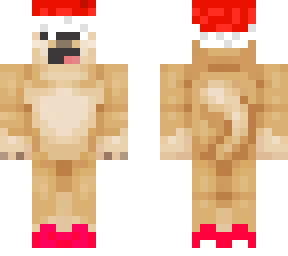 doge with a santa hat