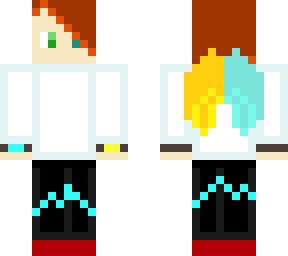 the elytra