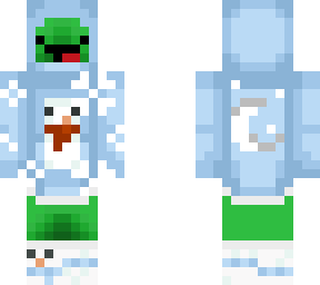 christmas turtle