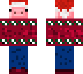 pig in a sweater