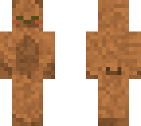 bear / oso