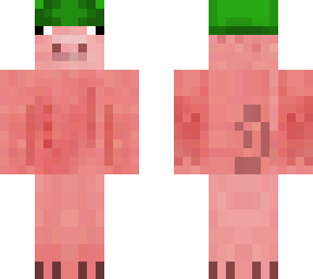 chirstmas pig