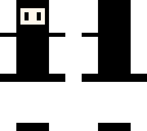 fencing skin
