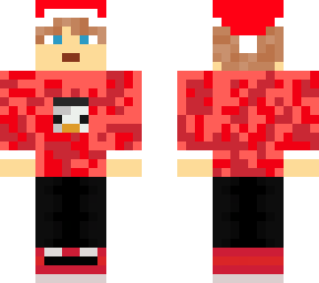 christmas penguin boy