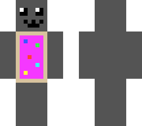 my first nyan cat skin