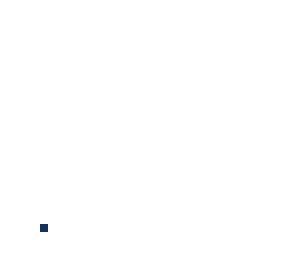 pixel