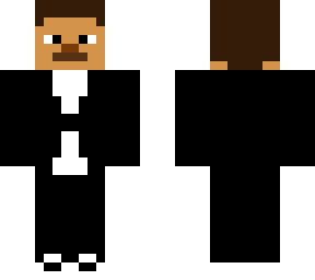 steve majordomnul