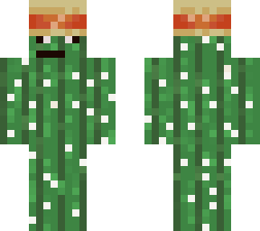 cactus man with a hat