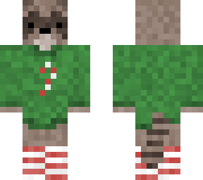 holiday raccoon
