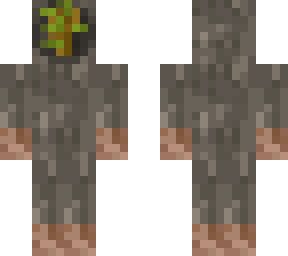 acacia dryad