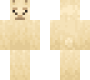 llama