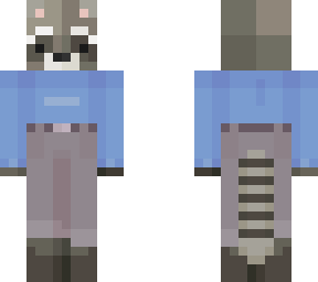 raccoon with sweater
