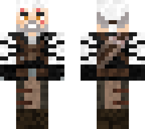 the witcher master