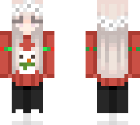 historien's xmas skin no hat