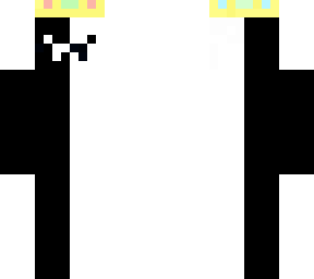ranboo box cat skin