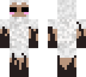 sheep