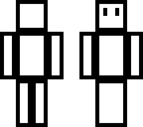 the skin