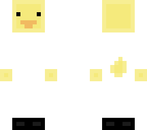 duck base