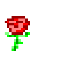 pretty rose