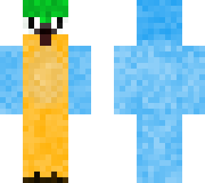 funny parrot boy