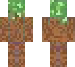 dirt camouflage skin