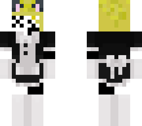 maid ayden