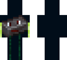 netherota skin