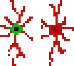 eye