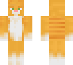 orange cat v3