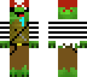 pirat turtle