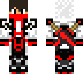 assasin with 2 sword back