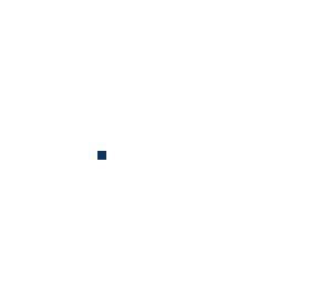 pixel