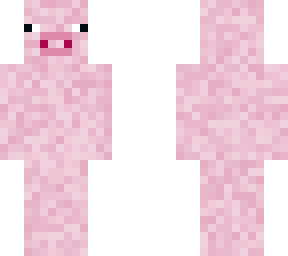 pig