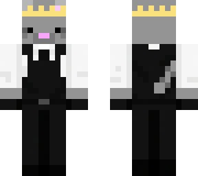 sir-raccoon