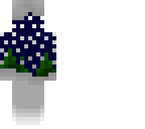 ~midnight frostbite~ // ce