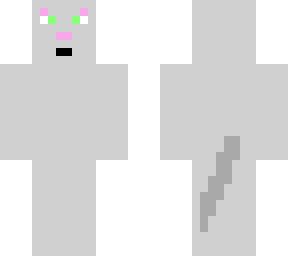gato